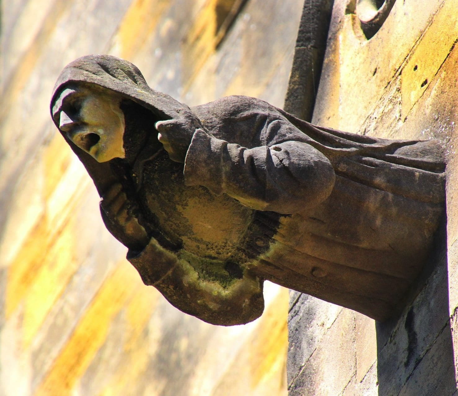 wie-beschermt-het-secularisme-tegen-steve-bannon