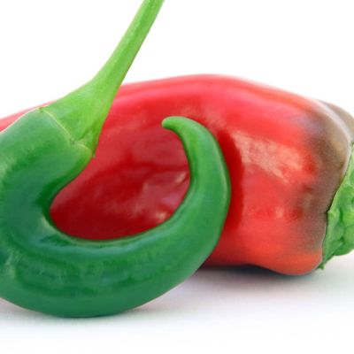 appetite-1238241_1920