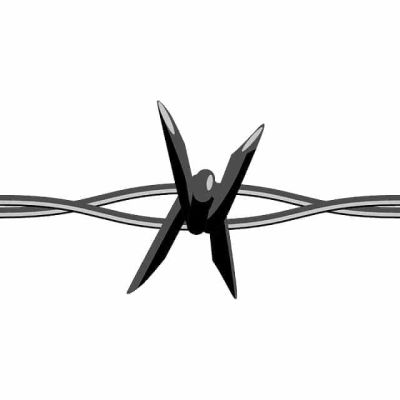 Beeld-Keyvan-Shahbazi-Onruststoker-barbed-wire-146547_1280