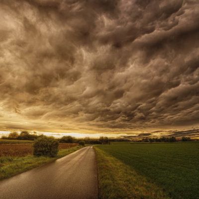 Beeld Urgenda Bordewijk nature-3102762_1920