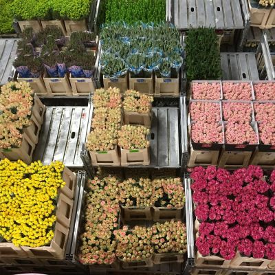 Beeld Patrick Deringf Eurobondsflowers-1234480_1920