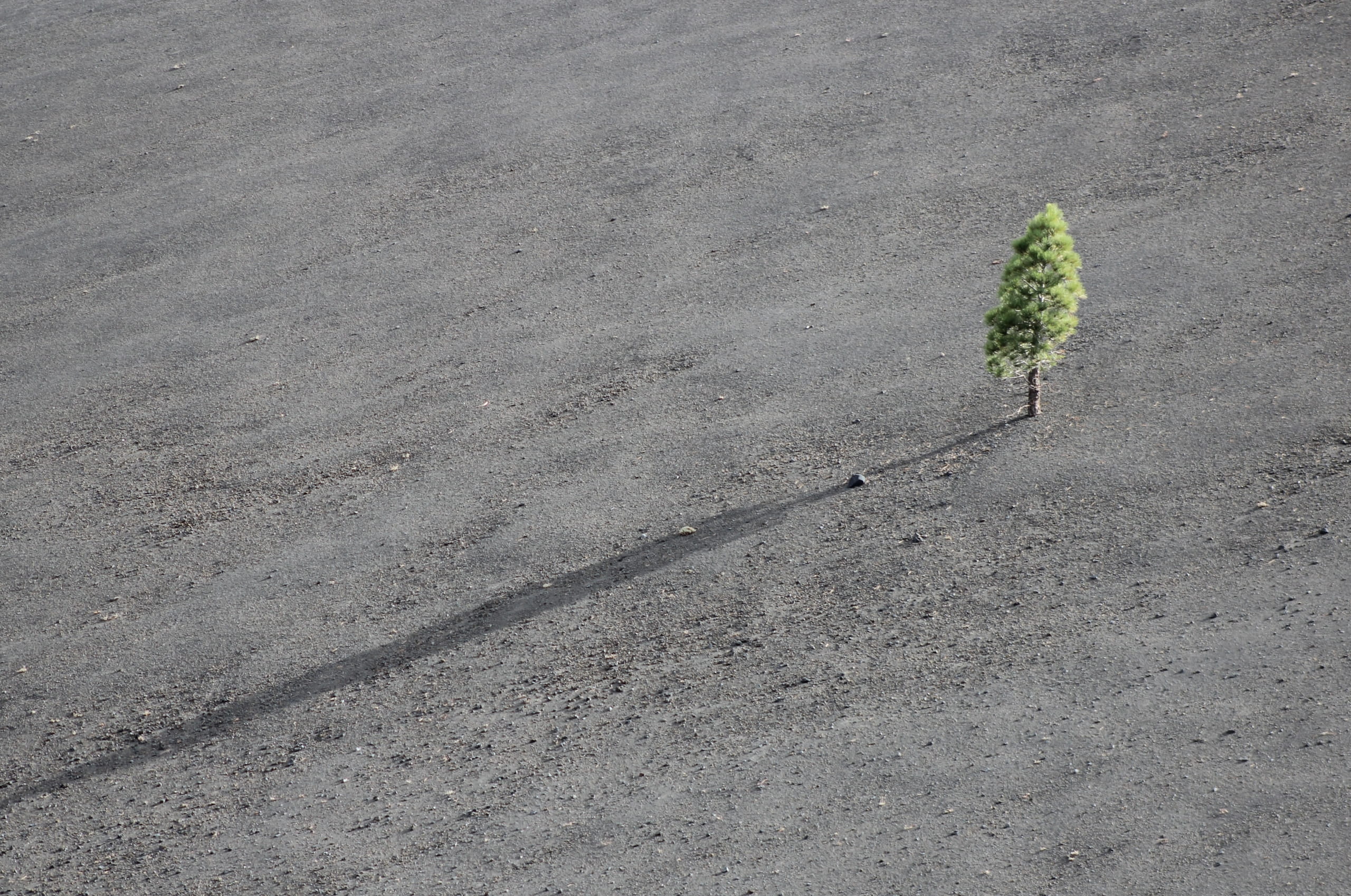 waarom-wordt-de-oplossing-voor-de-energietransitie-genegeerd