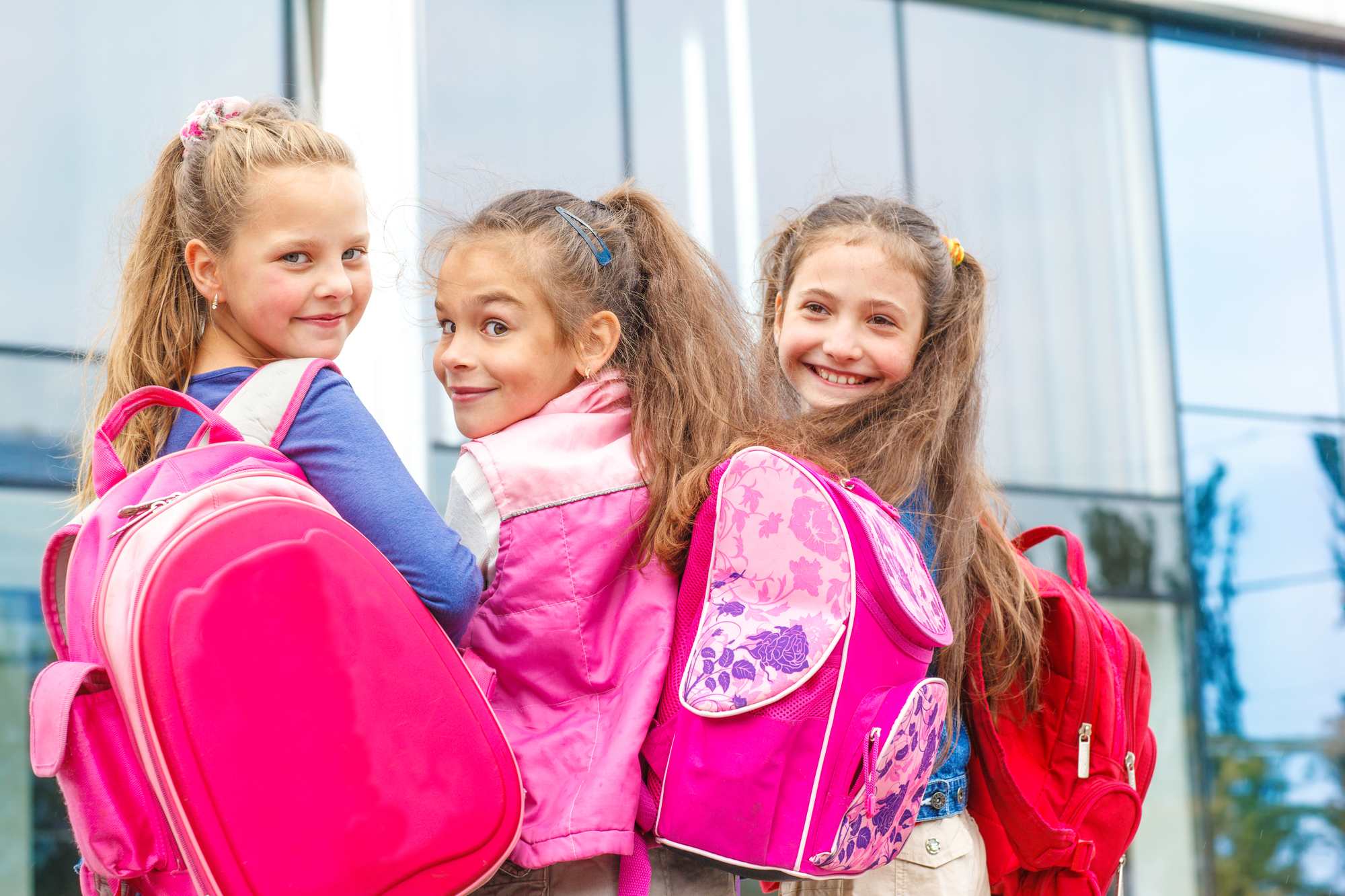 debat-over-artikel-23-het-initiatiefwetsvoorstel-van-de-pvda